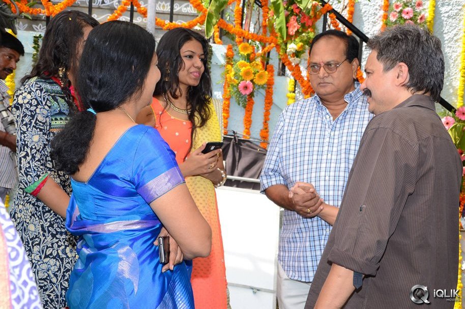 Vinavayya-Ramayya-Movie-Launch